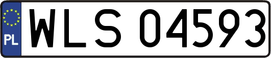 WLS04593