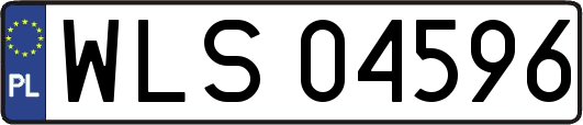 WLS04596