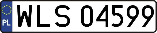 WLS04599