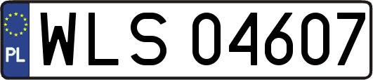 WLS04607