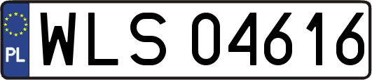 WLS04616