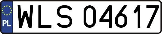 WLS04617