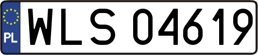 WLS04619