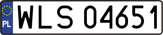 WLS04651