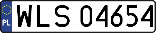 WLS04654
