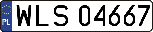 WLS04667