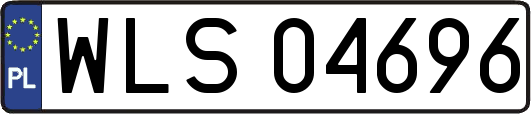 WLS04696