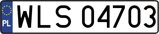 WLS04703
