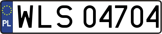 WLS04704