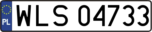 WLS04733