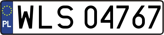 WLS04767