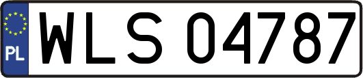 WLS04787