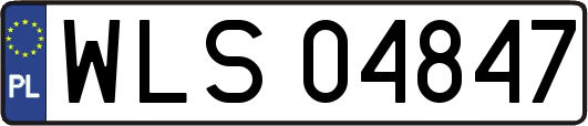 WLS04847