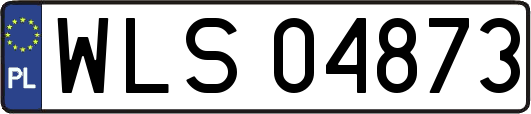 WLS04873