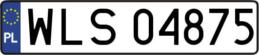 WLS04875