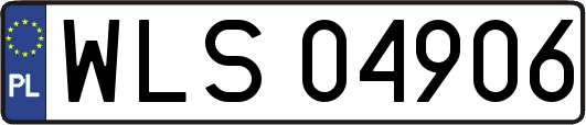 WLS04906