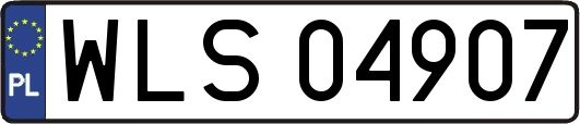 WLS04907
