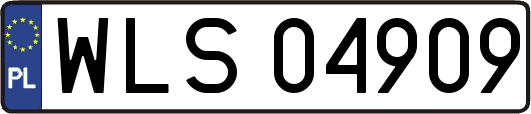 WLS04909