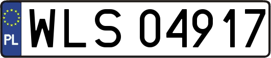 WLS04917