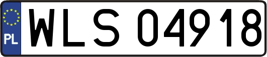 WLS04918