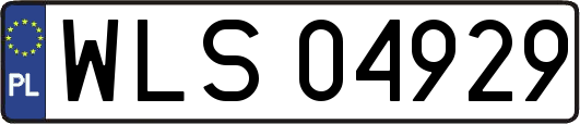 WLS04929