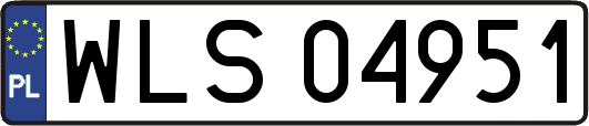 WLS04951