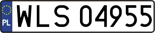 WLS04955