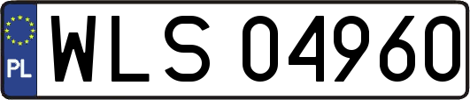WLS04960