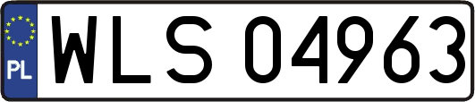 WLS04963