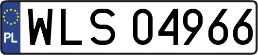 WLS04966
