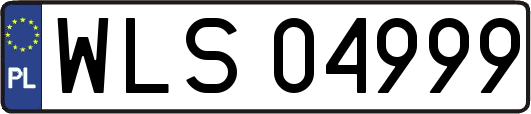 WLS04999