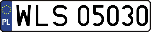 WLS05030