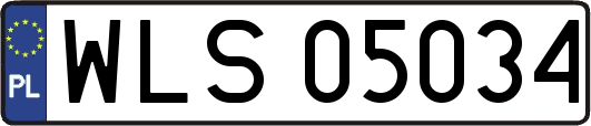 WLS05034