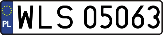 WLS05063