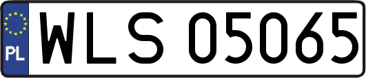 WLS05065