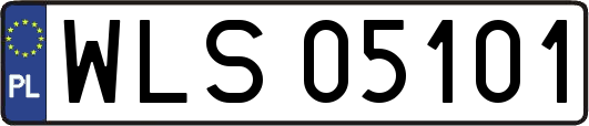 WLS05101