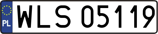 WLS05119