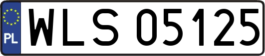 WLS05125