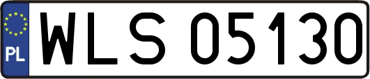 WLS05130