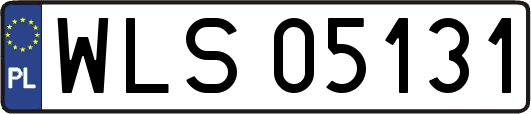 WLS05131