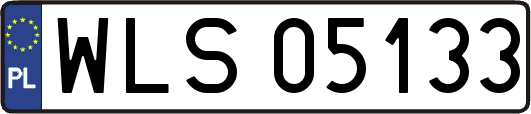 WLS05133