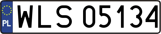 WLS05134