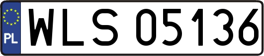 WLS05136