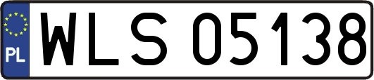 WLS05138