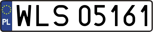 WLS05161