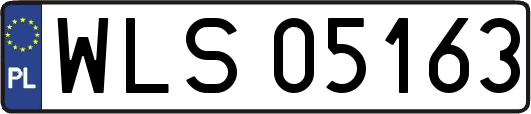 WLS05163