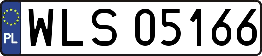 WLS05166