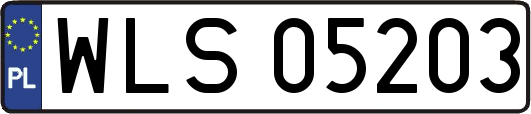 WLS05203