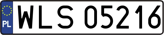 WLS05216