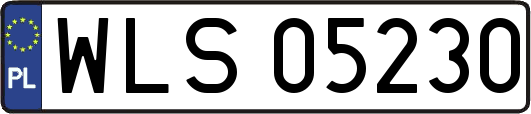 WLS05230